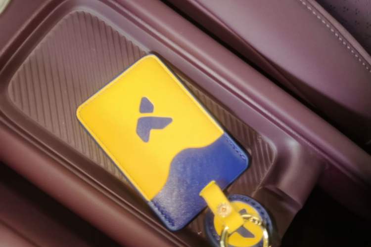 Used firefly 2025 Illuminated Edition Vehicle Key