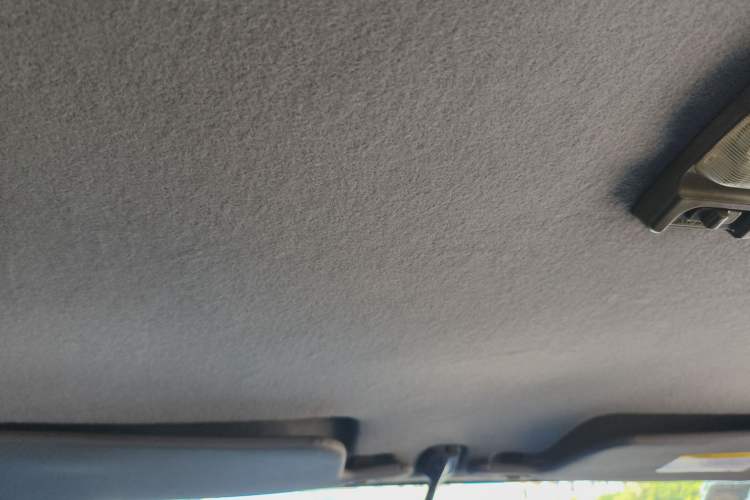 Used Foday Lion 2012 2.0T Two-Wheel-Drive Standard Version Headliner