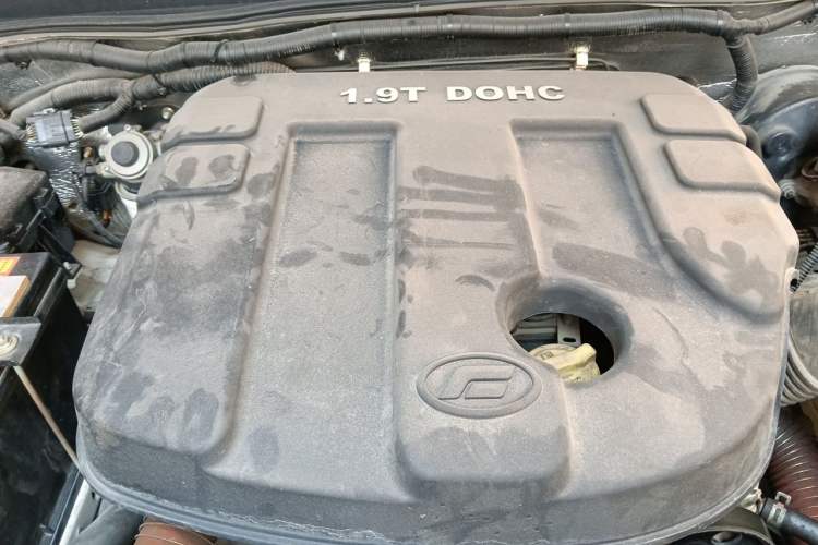 Used Foday Lion F22 2017 1.9T Two-Wheel Drive Diesel China V Flagship Extended Version D19TCIE2 Engine Bay