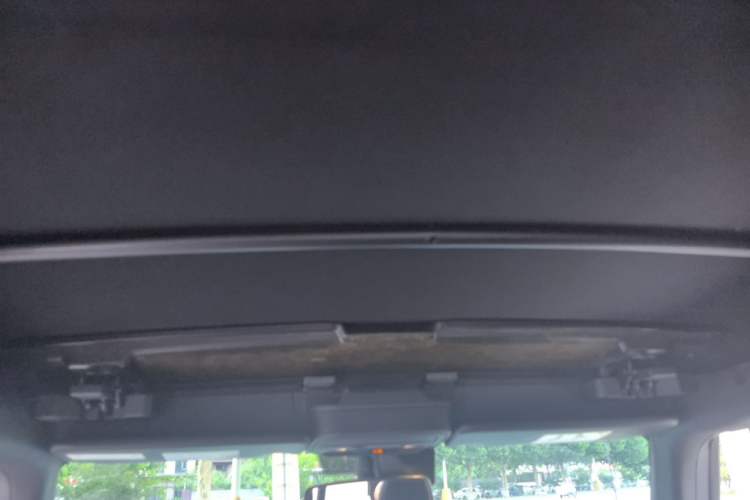 Used Ford Bronco  Headliner