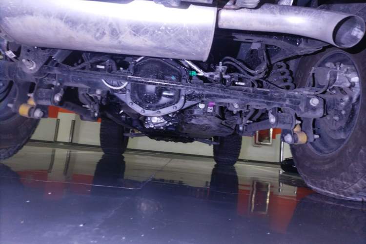 Used Ford Bronco 2024 2.3T Wilderness Chassis Rear