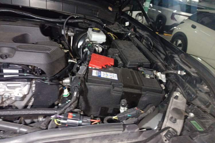 Used Ford Bronco 2024 2.3T Wilderness Engine Bay Left