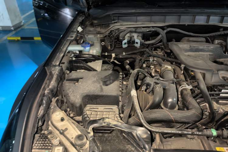Used Ford Bronco 2024 2.3T Wilderness Engine Bay Right