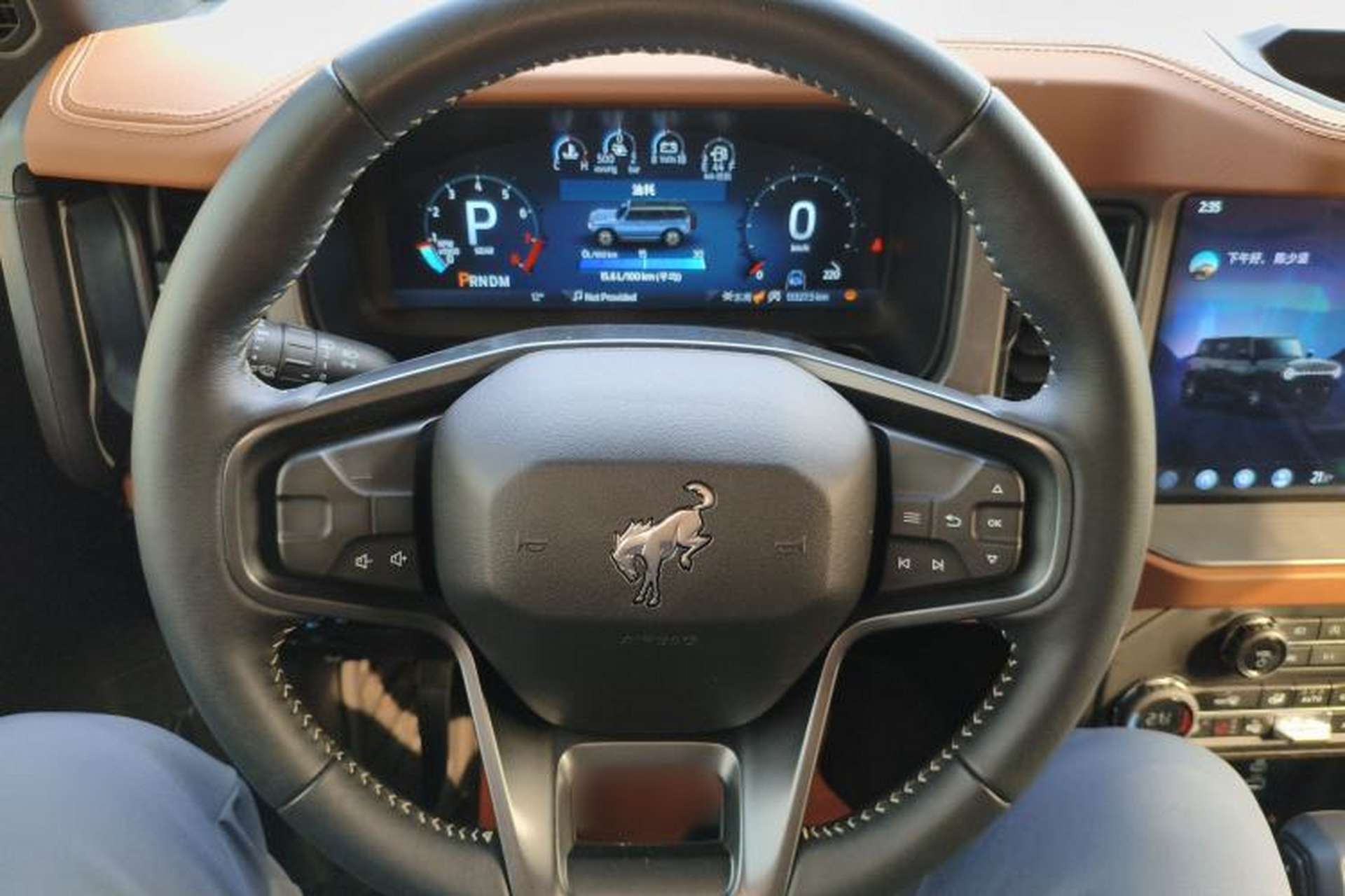 Used Ford Bronco 2024 2.3T Long Beach Steering Wheel