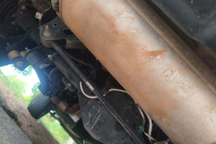 Used Ford Bronco 2024 2.3T Wilderness Chassis Rear