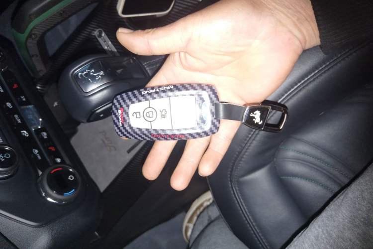 Used Ford Bronco 2024 2.3T Everglades Vehicle Key