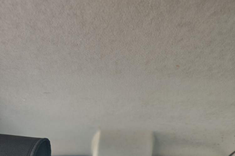 Used Ford EcoSport 2013 1.5L Automatic Fashion Model Headliner