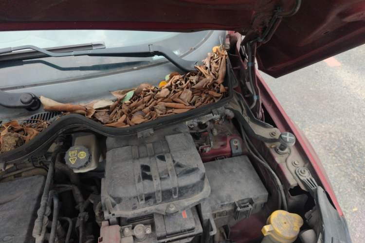 Used Ford EcoSport 2013 1.5L Automatic Fashion Model Engine Bay Left