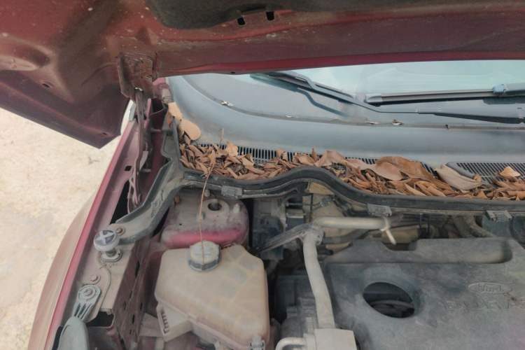 Used Ford EcoSport 2013 1.5L Automatic Fashion Model Engine Bay Right