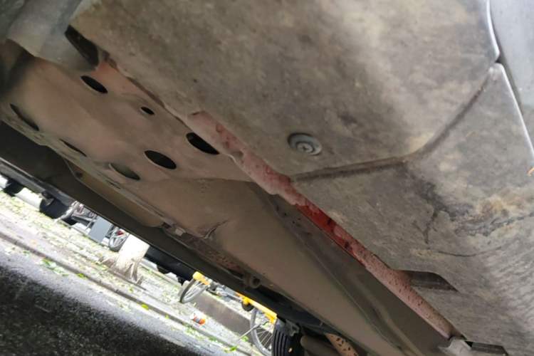 Used Ford EcoSport 2013 1.5L Automatic Fashion Model Chassis Front Left
