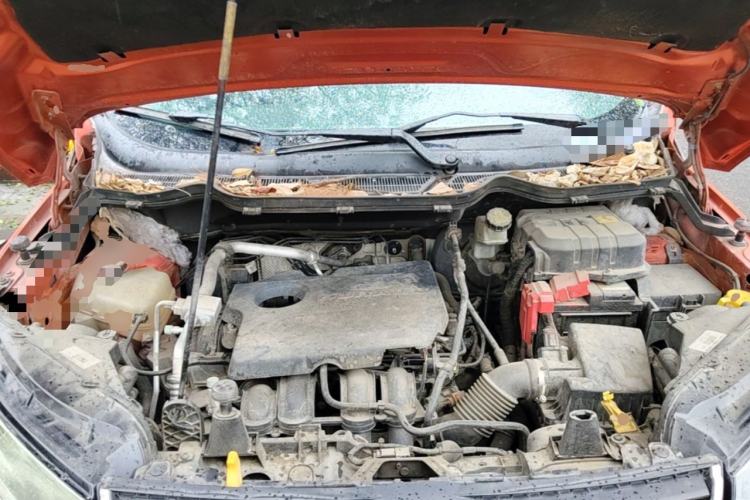 Used Ford EcoSport 2013 1.5L Automatic Fashion Model Engine Bay