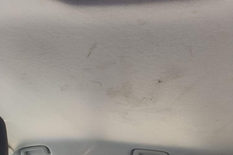 Used Ford EcoSport 2013 1.5L Automatic Fashion Model Headliner