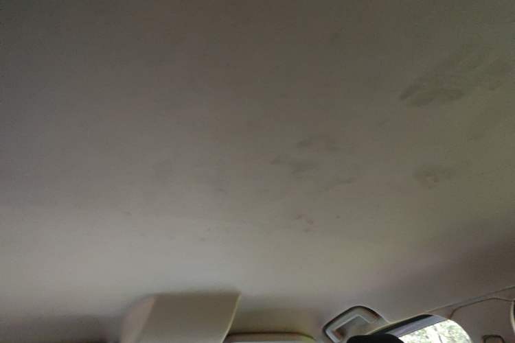 Used Ford EcoSport 2013 1.5L Automatic Fashion Model Headliner