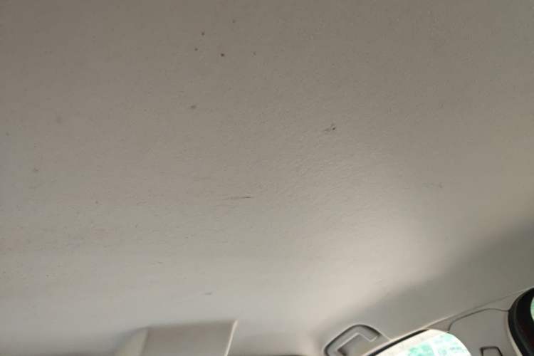 Used Ford EcoSport 2013 1.5L Automatic Fashion Model Headliner