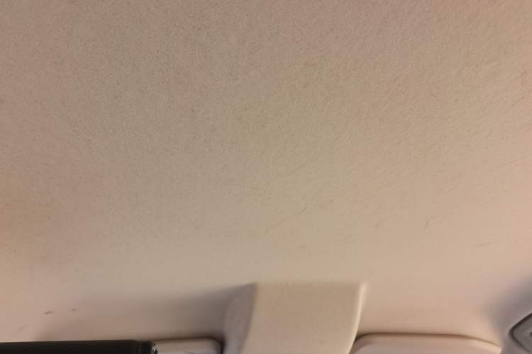 Used Ford EcoSport 2013 1.5L Manual Comfort Model Headliner