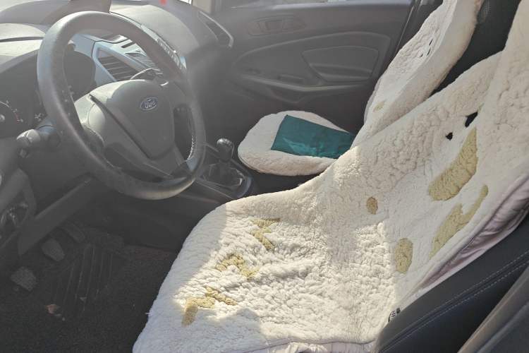 Used Ford EcoSport 2013 1.5L Manual Comfort Model Left Front Seat