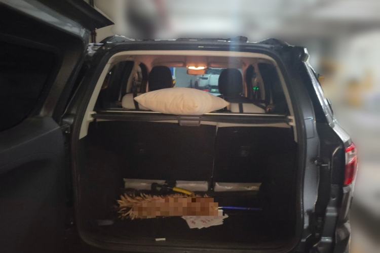 Used Ford EcoSport 2013 1.5L Automatic Fashion Model Trunk