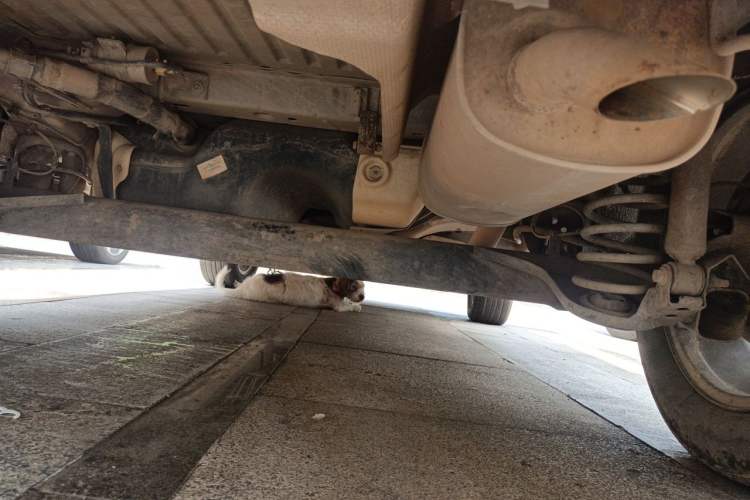 Used Ford EcoSport 2013 1.5L Automatic Prestige Model Chassis Rear