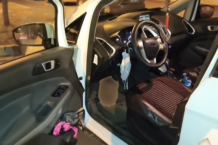 Used Ford EcoSport 2013 1.5L Automatic Fashion Model Driver Seat