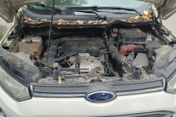 Used Ford EcoSport 2013 1.0L GTDi Manual Luxury Model Engine Bay