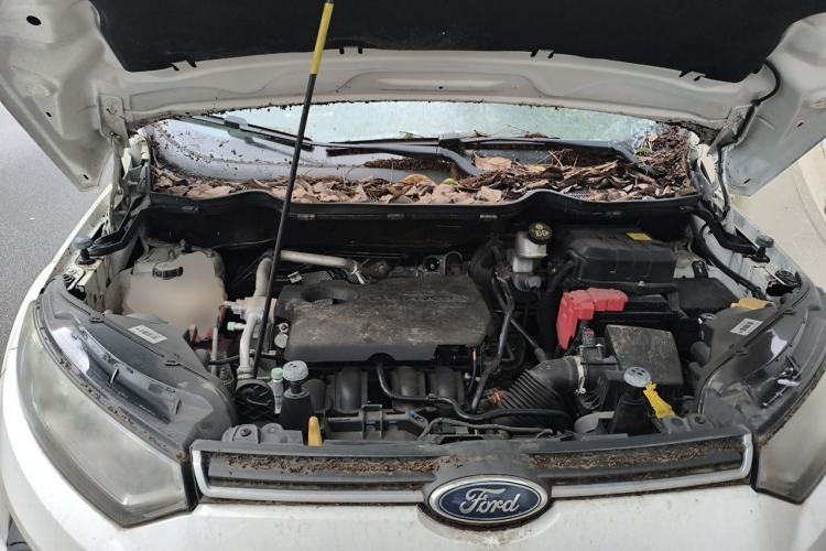 Used Ford EcoSport 2013 1.5L Automatic Fashion Model Engine Bay