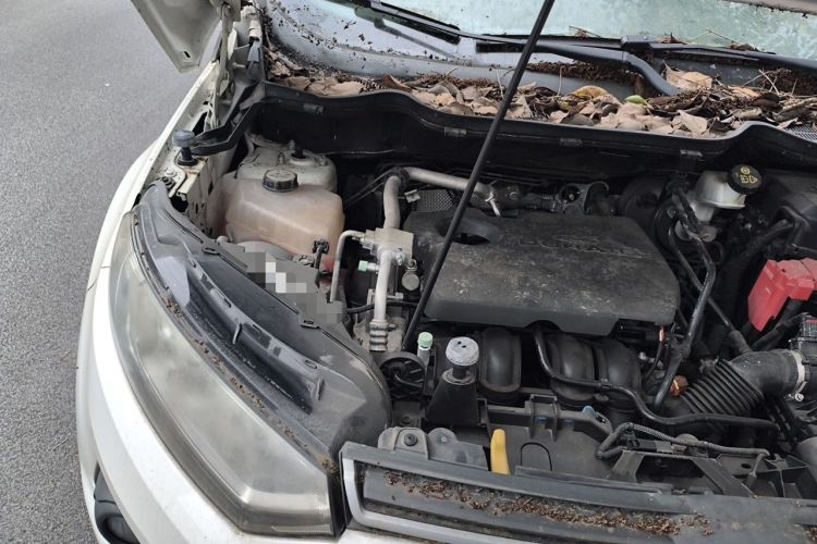Used Ford EcoSport 2013 1.5L Automatic Fashion Model Engine Bay Right