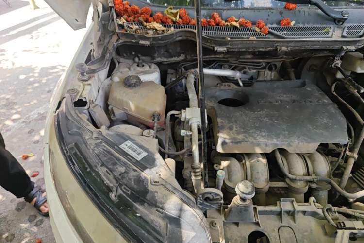 Used Ford EcoSport 2013 1.5L Manual Comfort Model Engine Bay Right