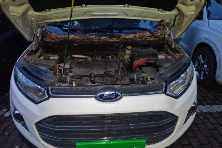 Used Ford EcoSport 2013 1.5L Automatic Prestige Model Engine Bay