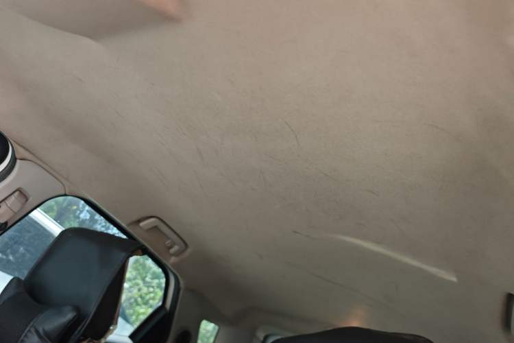 Used Ford EcoSport 2013 1.5L Automatic Fashion Model Headliner