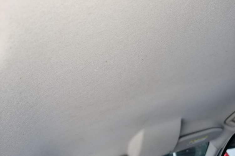 Used Ford EcoSport 2013 1.5L Automatic Fashion Model Headliner