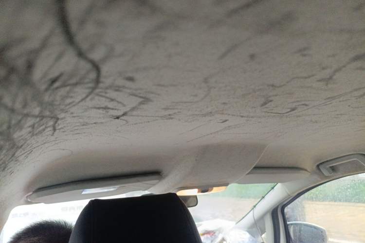 Used Ford EcoSport 2013 1.5L Automatic Fashion Model Headliner