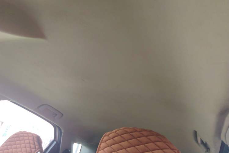 Used Ford EcoSport 2013 1.5L Automatic Fashion Model Headliner