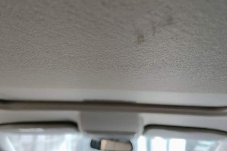 Used Ford EcoSport 2013 1.5L Automatic Prestige Model Headliner