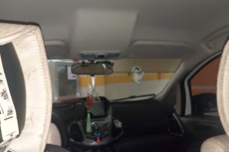 Used Ford EcoSport 2013 1.5L Manual Comfort Model Headliner