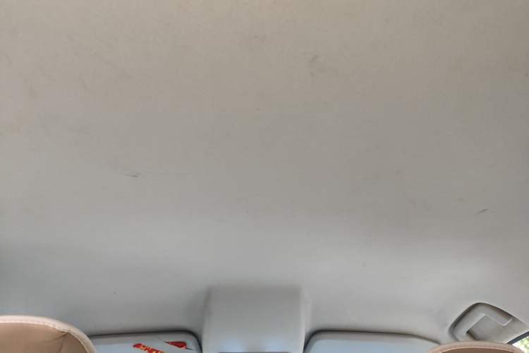 Used Ford EcoSport 2013 1.5L Automatic Fashion Model Headliner
