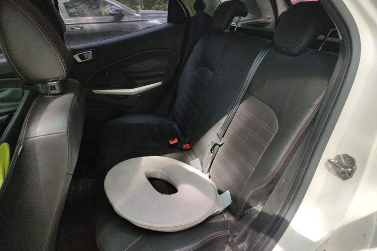 Used Ford EcoSport 2013 1.5L Automatic Prestige Model Left Rear Seat
