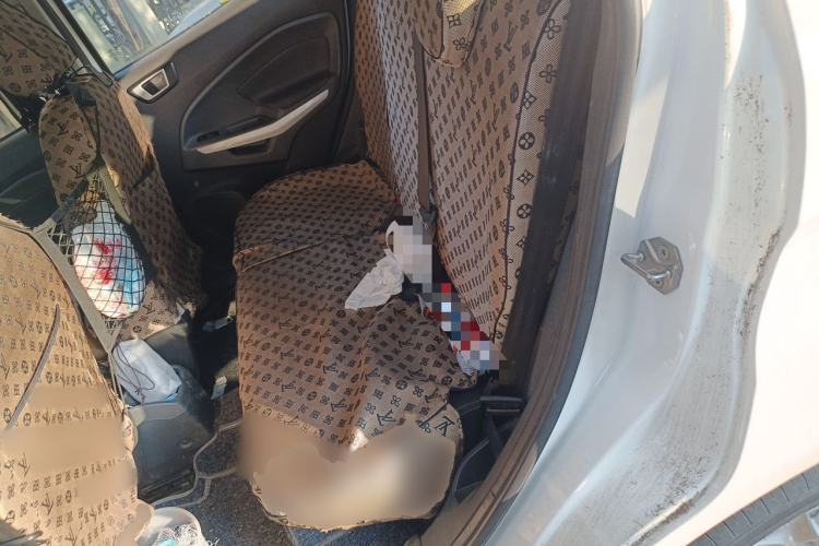 Used Ford EcoSport 2013 1.5L Automatic Fashion Model Left Rear Seat