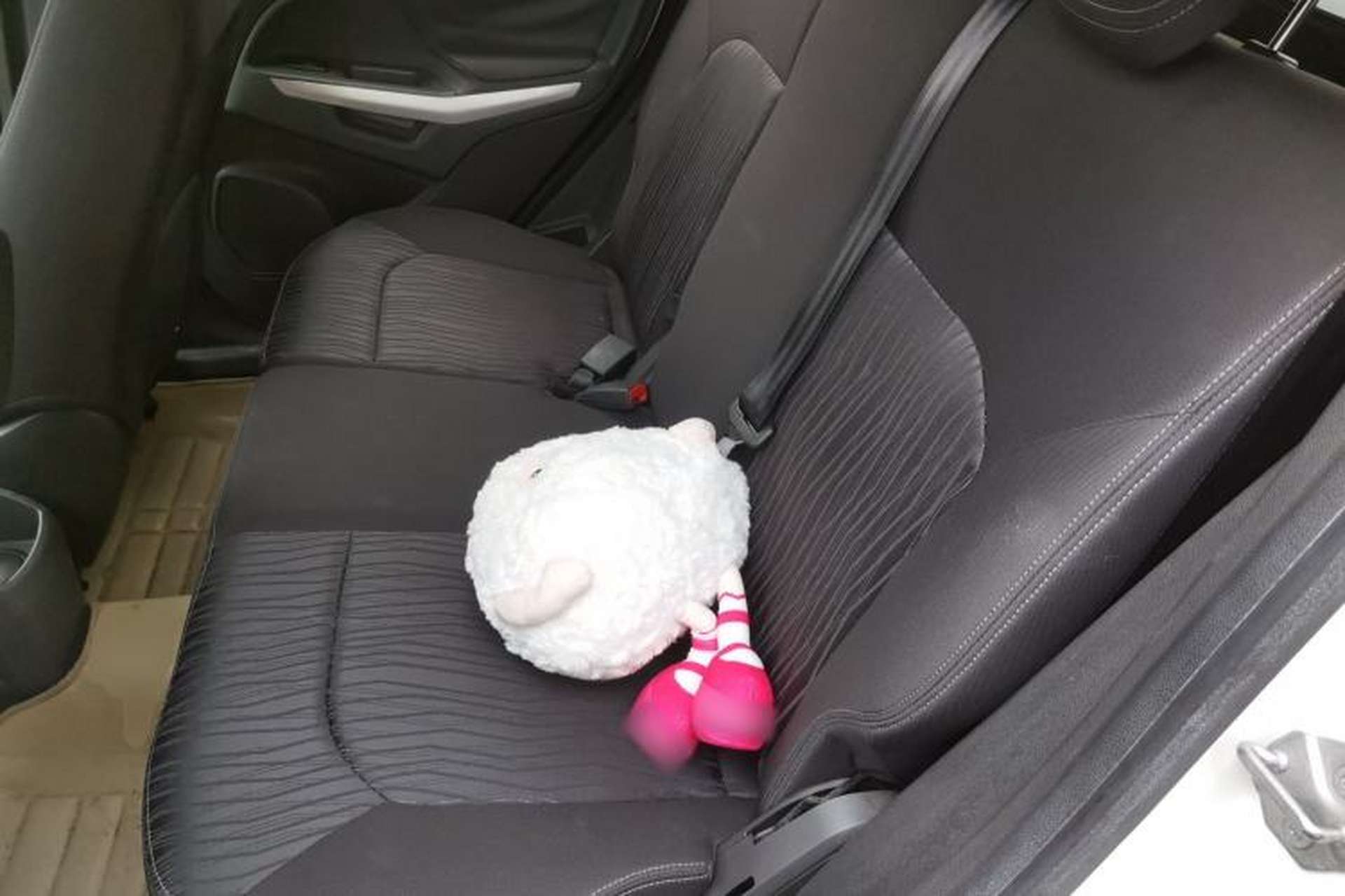Used Ford EcoSport 2013 1.5L Automatic Prestige Model Left Rear Seat