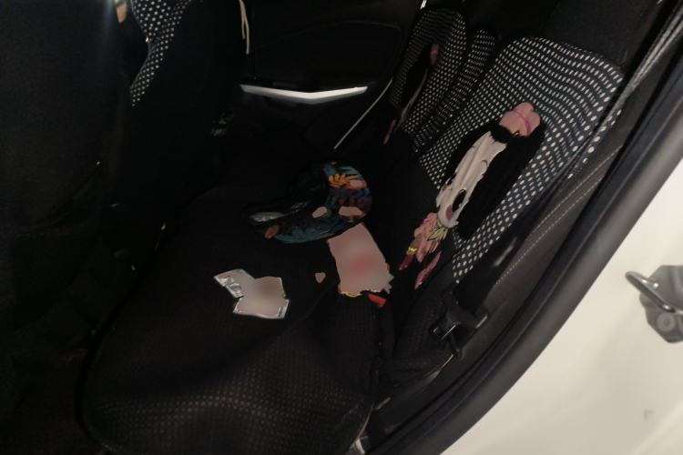 Used Ford EcoSport 2013 1.5L Automatic Prestige Model Left Rear Seat