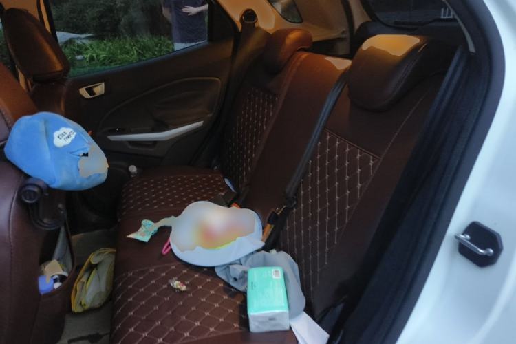 Used Ford EcoSport 2013 1.5L Automatic Fashion Model Left Rear Seat
