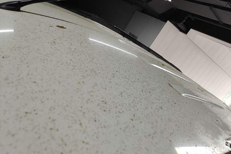 Used Ford EcoSport 2013 1.5L Automatic Fashion Model Roof