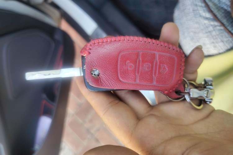 Used Ford EcoSport 2013 1.5L Automatic Fashion Model Vehicle Key