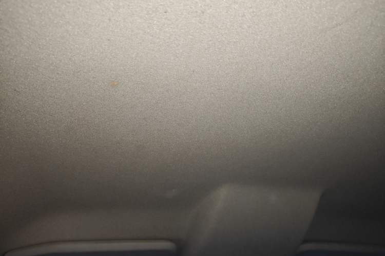 Used Ford EcoSport 2017 1.5L Automatic Trend Model Headliner