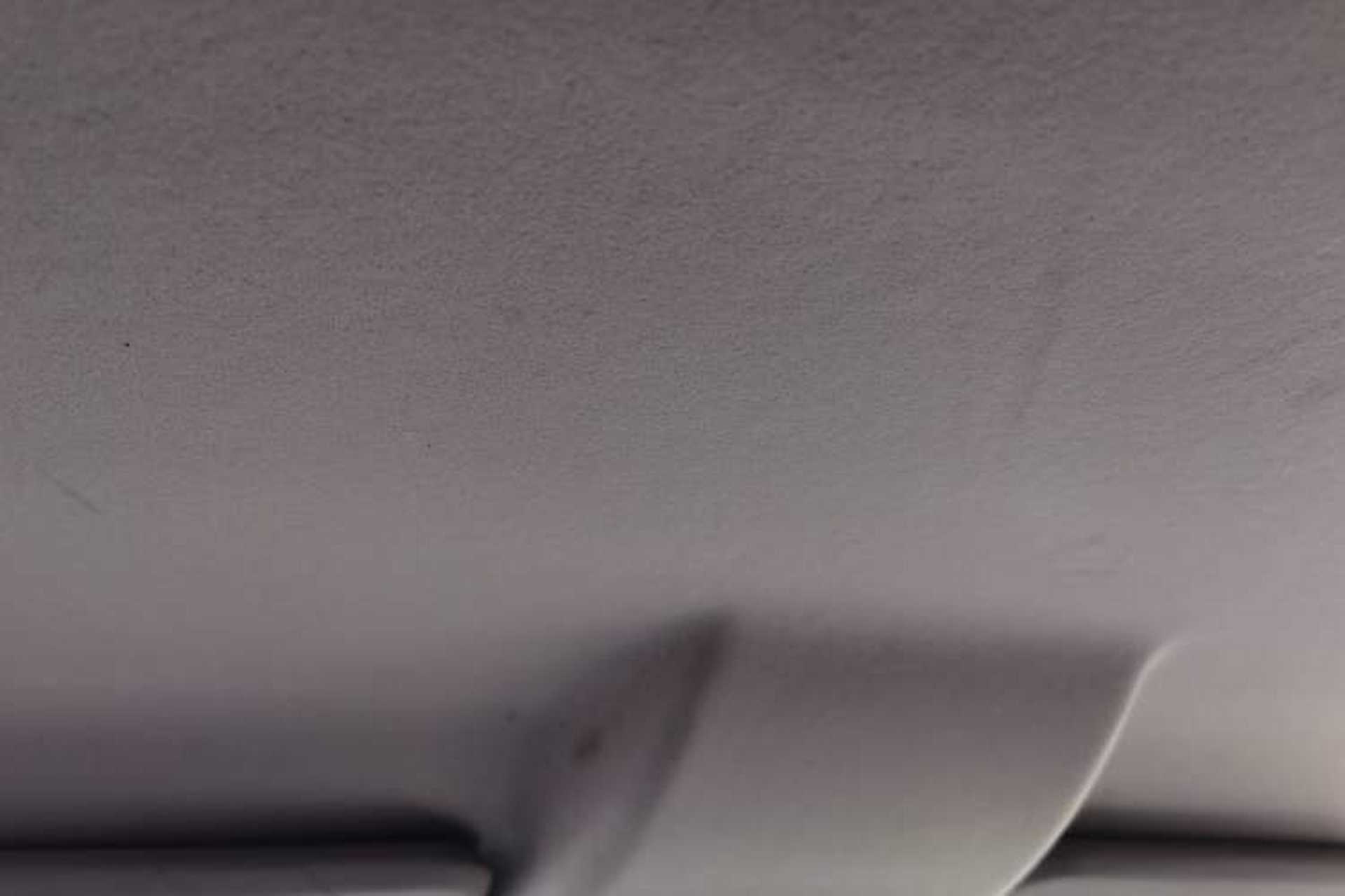 Used Ford EcoSport 2017 1.5L Automatic Trend Model Headliner