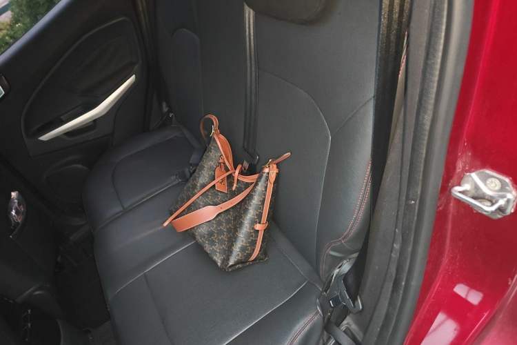 Used Ford EcoSport 2017 1.5L Automatic Trend Model Left Rear Seat