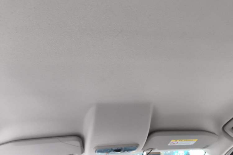 Used Ford EcoSport 2017 1.5L Automatic Trend Model Headliner