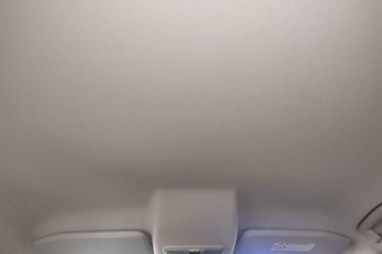 Used Ford EcoSport 2017 1.5L Manual Comfort Model Headliner