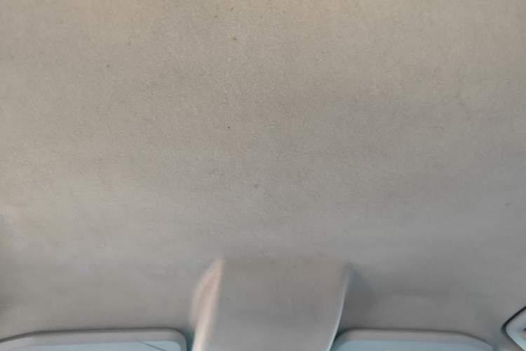 Used Ford EcoSport 2017 1.5L Manual Comfort Model Headliner