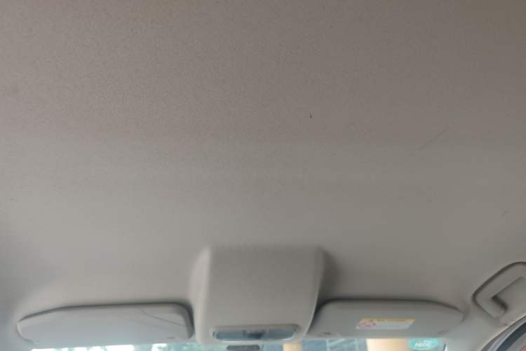 Used Ford EcoSport 2017 1.5L Manual Comfort Model Headliner