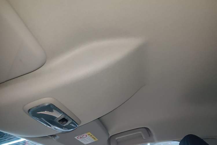 Used Ford EcoSport 2017 1.5L Automatic Trend Model Headliner